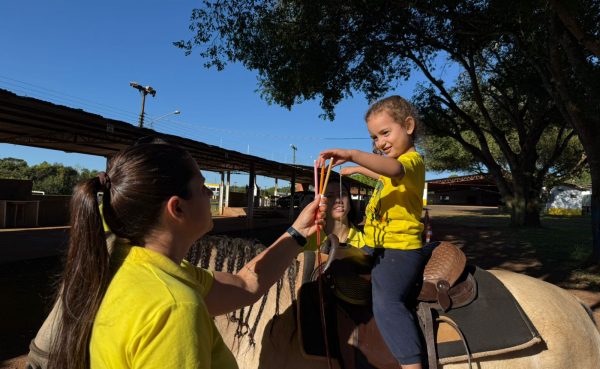 Prefeitura de Ribas do Rio Pardo avança para implantação de projeto de equoterapia no município